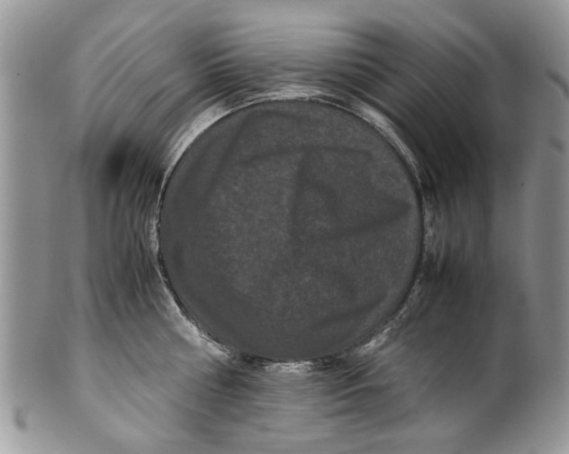 X0000099940810200806131424