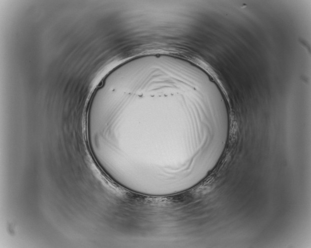 X0000099940811200806131424