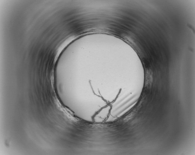 X0000099940812200806131424