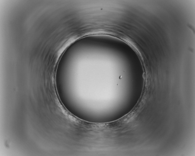 X0000099940813200806131424