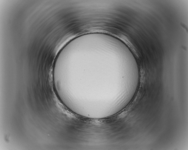 X0000099940814200806131424