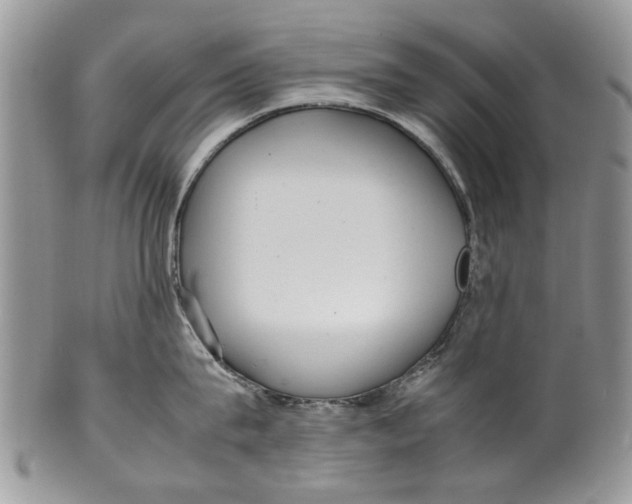 X0000099940815200806131424