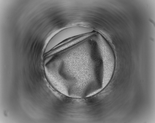 X0000099940816200806131424