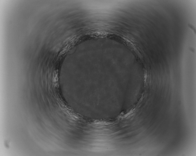 X0000099940818200806131423