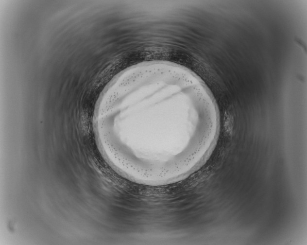 X0000099940819200806131423