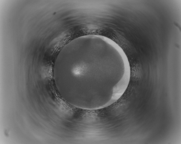 X0000099940820200806131423