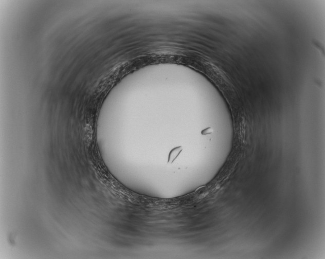 X0000099940821200806131423