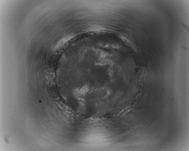 X0000099940822200806131423