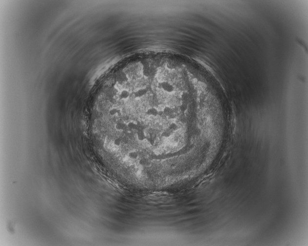 X0000099940823200806131423