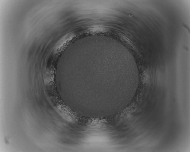 X0000099940824200806131423