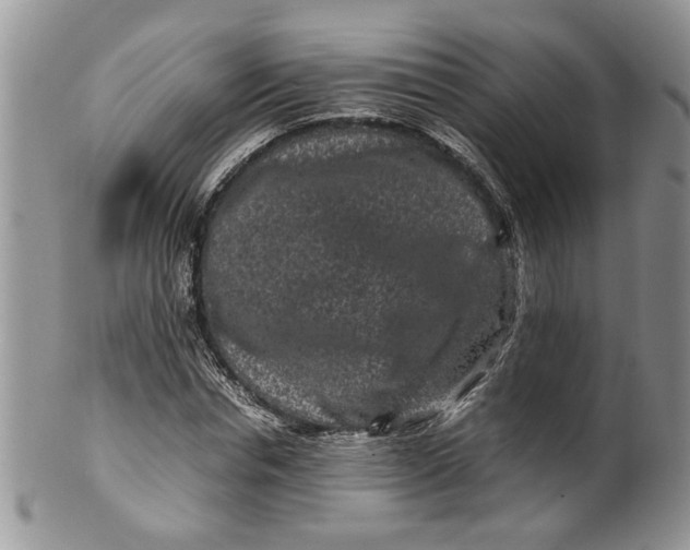 X0000099940826200806131423