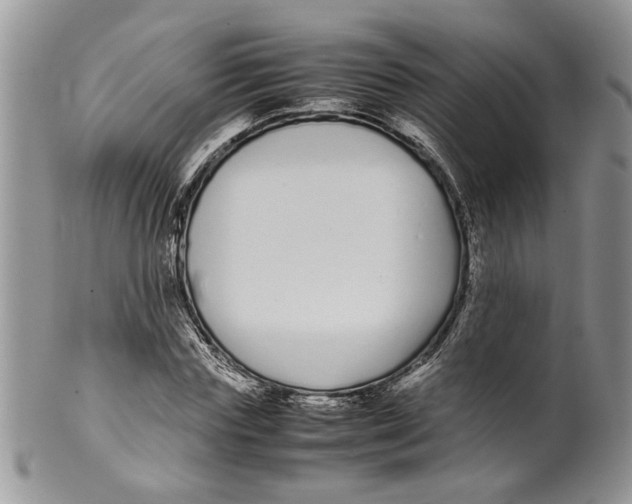 X0000099940827200806131423