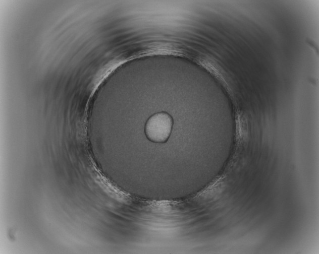 X0000099940828200806131423