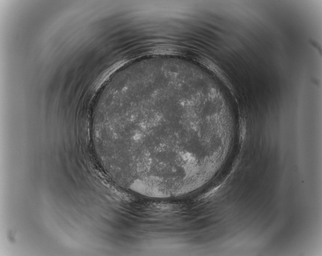 X0000099940829200806131423