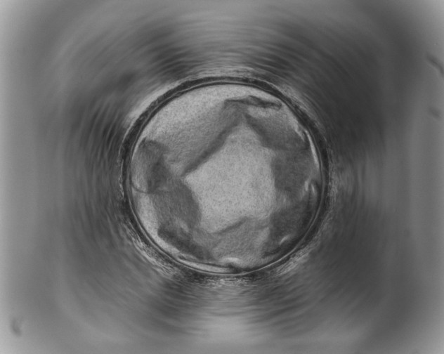 X0000099940830200806131423