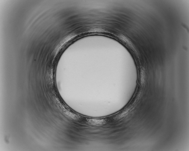 X0000099940831200806131423