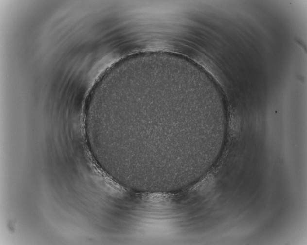 X0000099940832200806131423