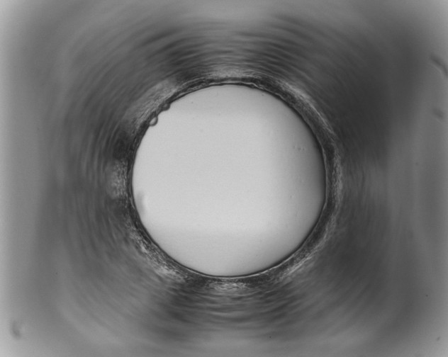 X0000099940833200806131423