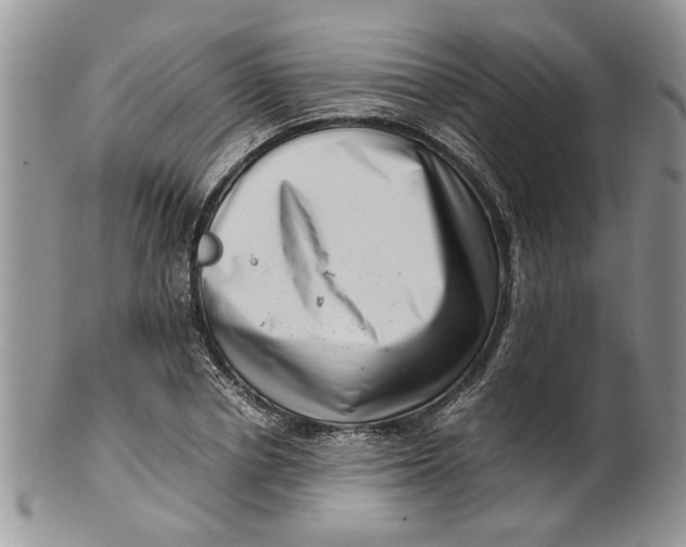 X0000099940834200806131423