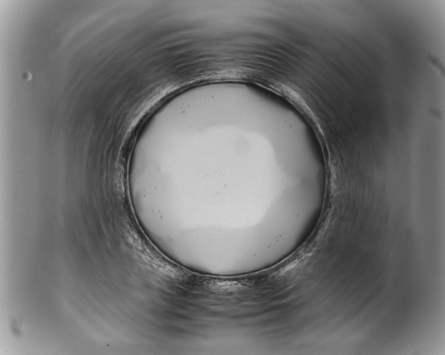 X0000099940835200806131423