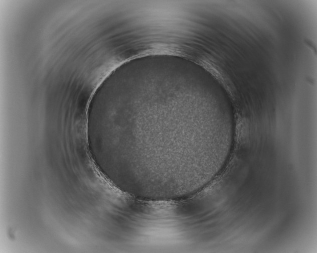 X0000099940836200806131423