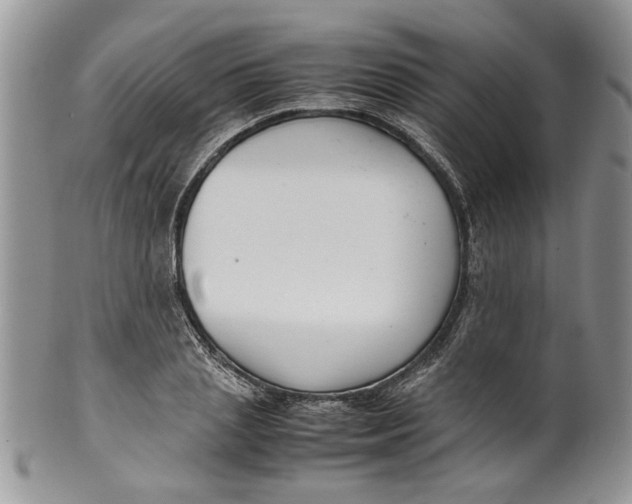 X0000099940837200806131423