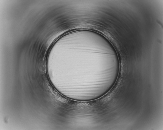 X0000099940838200806131423