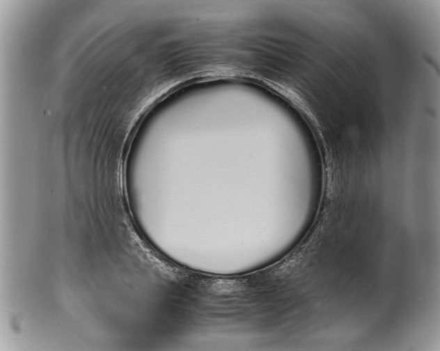 X0000099940839200806131423