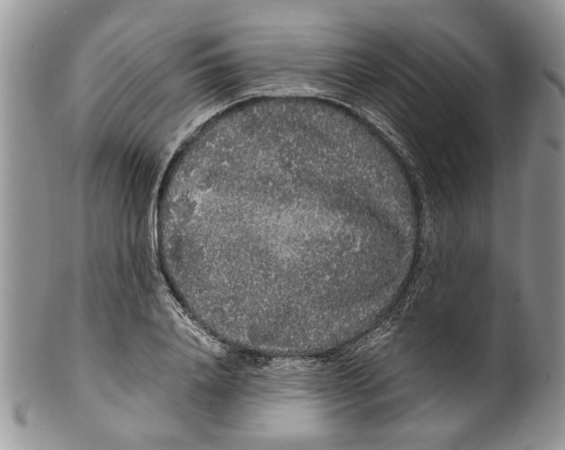 X0000099940840200806131423