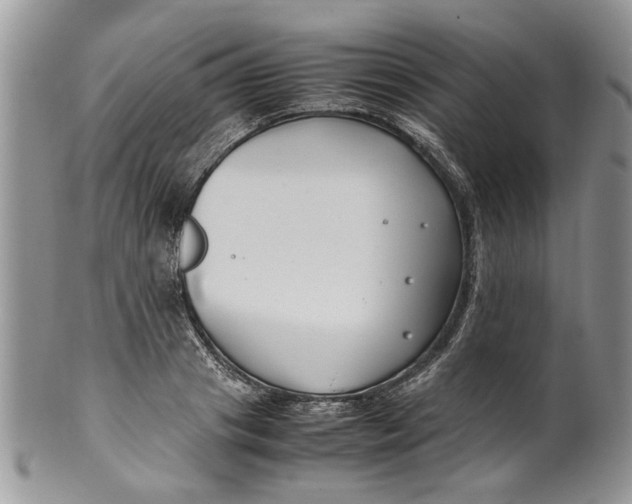 X0000099940841200806131423