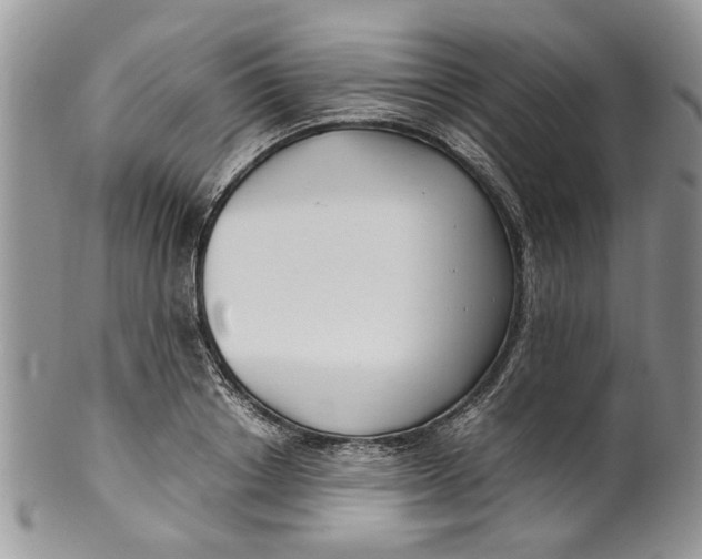 X0000099940842200806131423