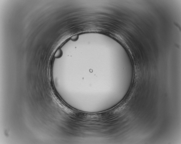 X0000099940843200806131423