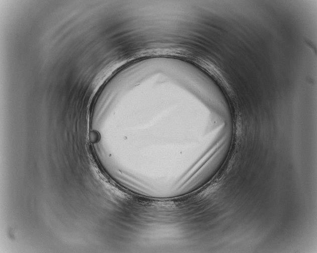 X0000099940844200806131423