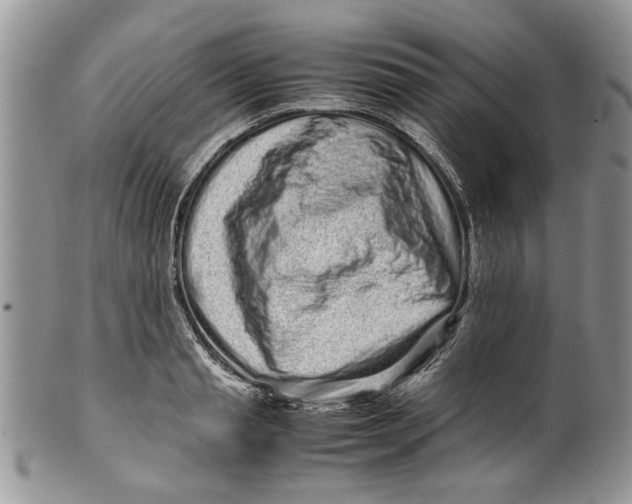 X0000099940845200806131423