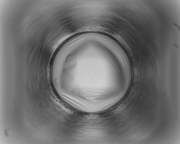 X0000099940846200806131423