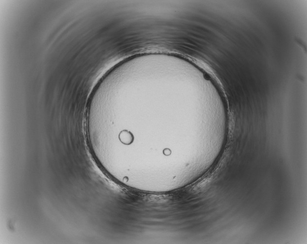 X0000099940847200806131423