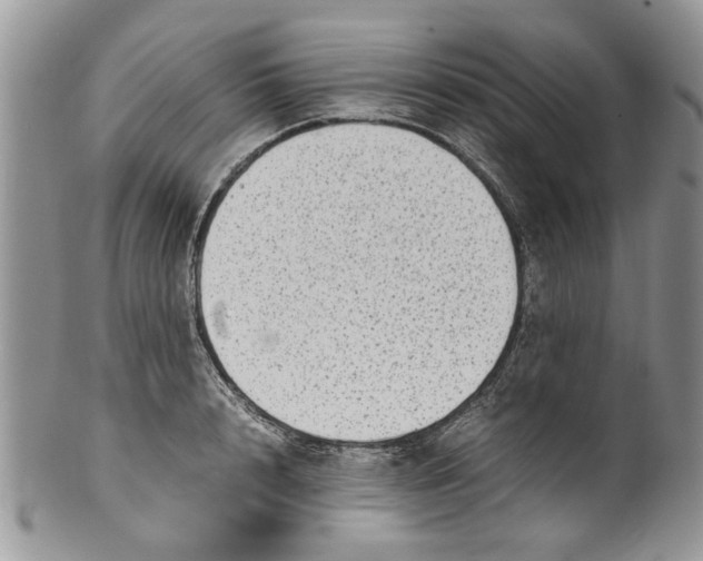 X0000099940848200806131423