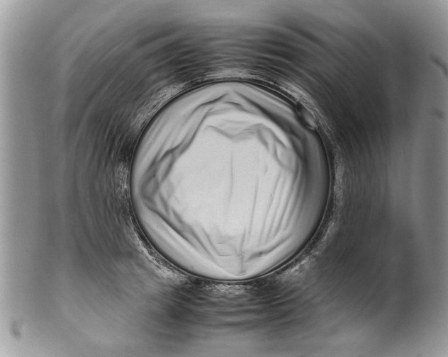 X0000099940849200806131423