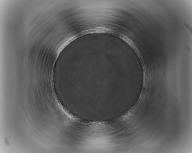 X0000099940850200806131423