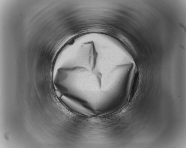 X0000099940852200806131423