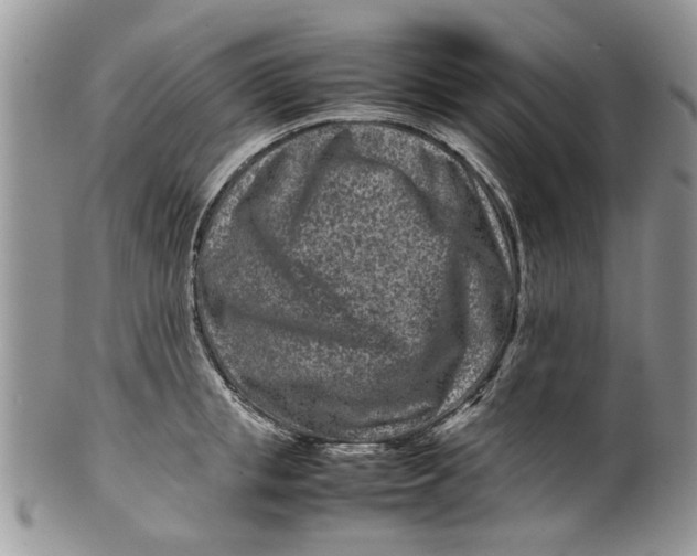 X0000099940853200806131423