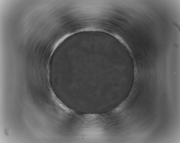 X0000099940854200806131423