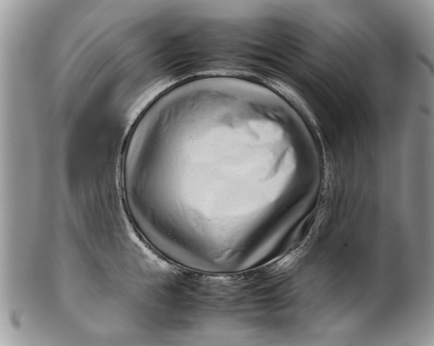 X0000099940855200806131423