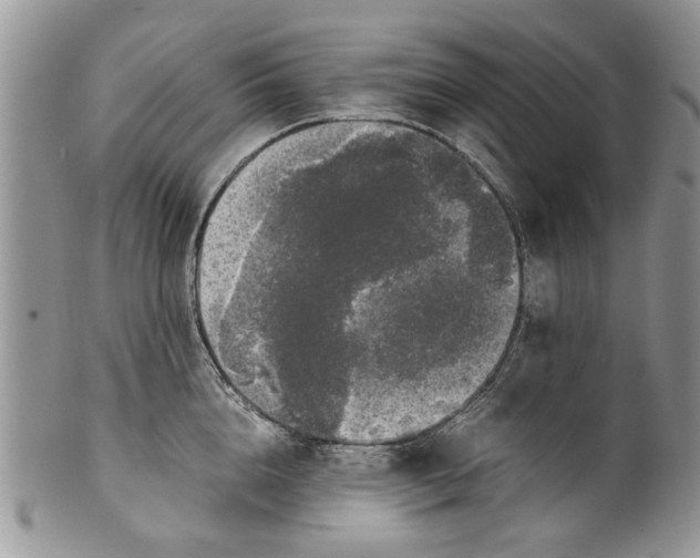 X0000099940856200806131423