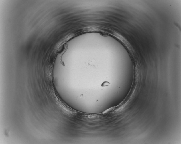 X0000099940857200806131423