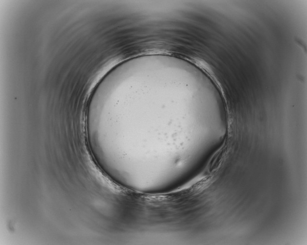 X0000099940859200806131424