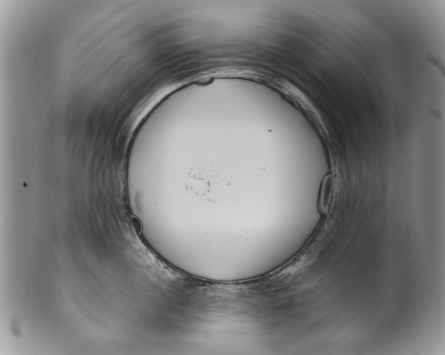 X0000099940860200806131424