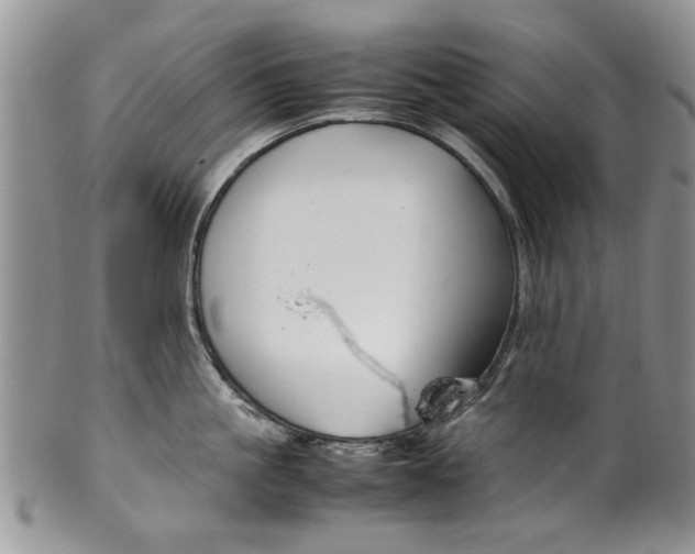 X0000099940861200806131424