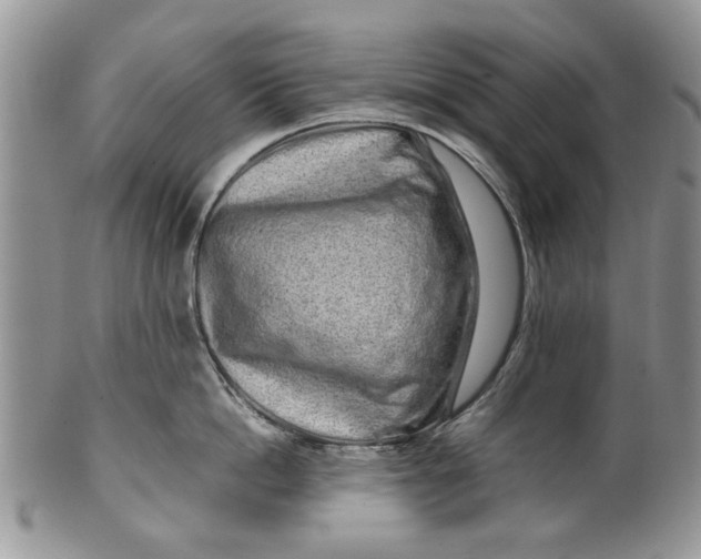 X0000099940862200806131424