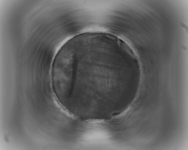 X0000099940864200806131424